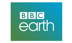 Digiturk Taraftar Paketi Aylık Faturalı (Kutusuz) kanal4